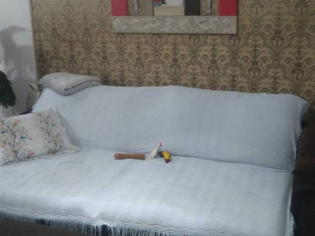 #7909 - Casa para Venda em Santo André - SP - 2